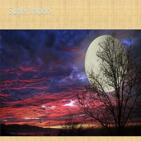 1..Reest-lecture-converted.pdf