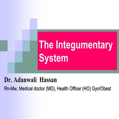 1.The Integumentary System.ppt