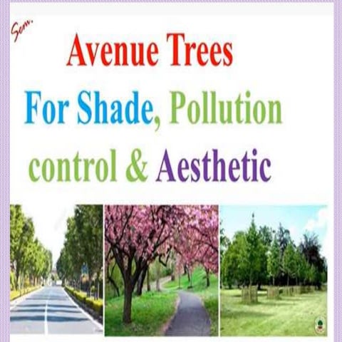 1. Avenue Trees.pptx