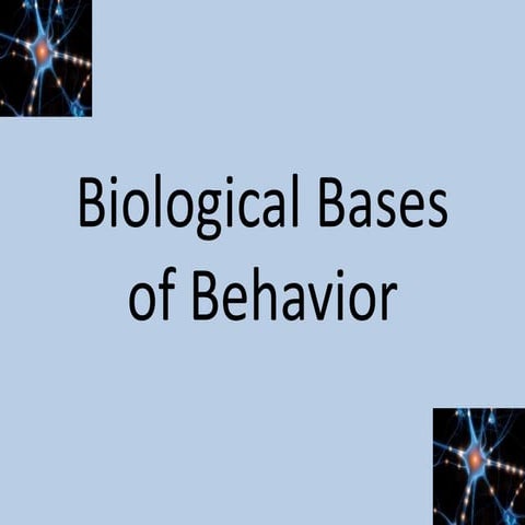 Presentation - Biological Bases of Behavior_20251029_174627_0000.pptx