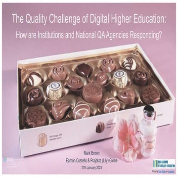 The Quality Challenge of Digital Higher Education: How are Institutions and N...