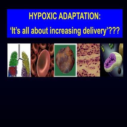 Hypoxic adaptation | Hugh Montgomery at TBS23 | PDF