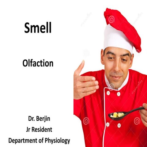 1 Smell Pdf