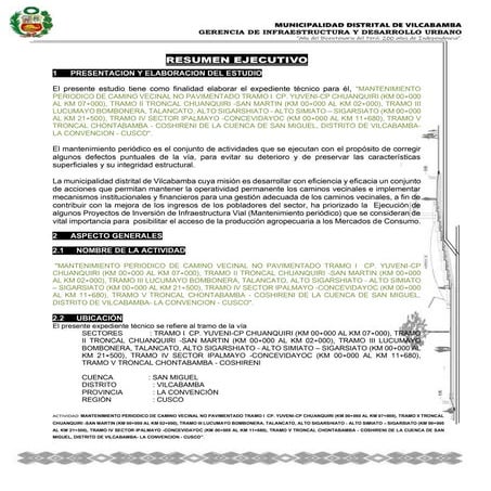 1.0 Resumen ejecutivo.docx