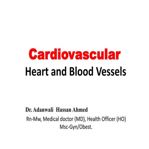 Cardiovascular Anatomy.pptx