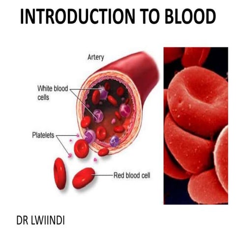 1. BLOOD Part 1.pptx