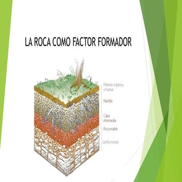 1.3. La Roca madre como factor formador.pdf