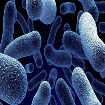 1.-KINGDOM-ARCHAEBACTERIA-EUBACTERIA (1).pptx