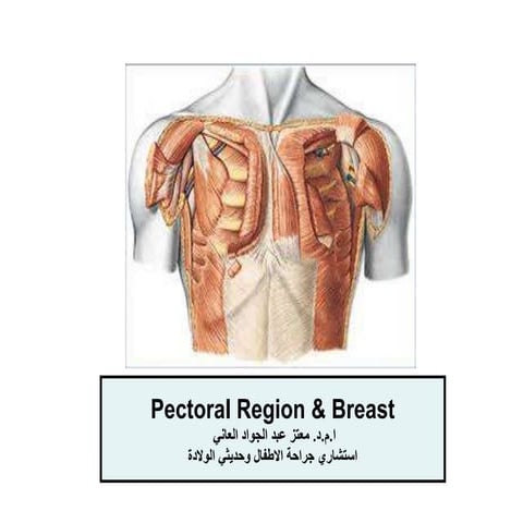 The anatomy of pectoral region | PPT