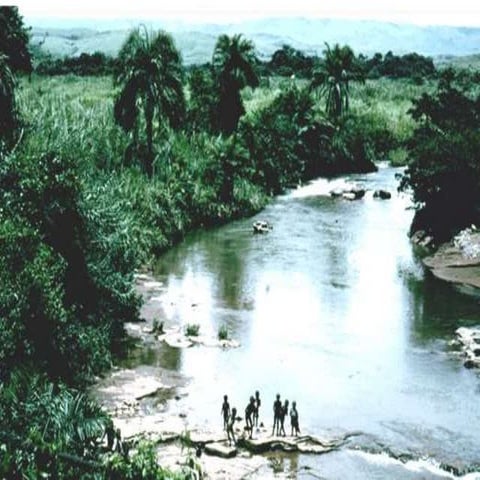 Introduction to Parasitology and Protozoa .ppt