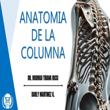 ANATOMIA DE LA COLUMNA universidad santiago