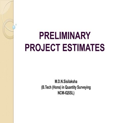 PRELIMINARY PROJECT ESTIMATES of project.pdf
