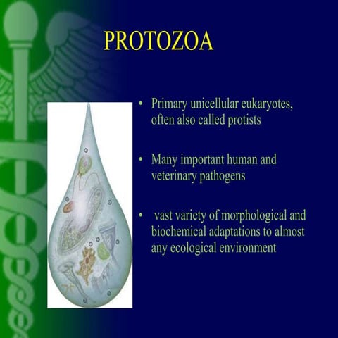 DRUGS USED IN PROTOZOAL INFECTION.pptx