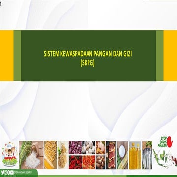 1. Kabid KKP_Materi SKPG 2024 Kabupaten Kota | PDF