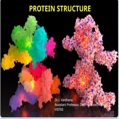 PROTEIN STRUCTURE AND LEVELS OF PROTEINS.pptx