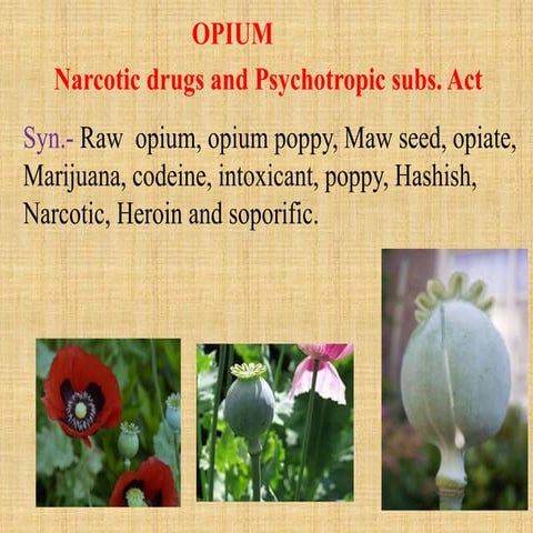 1.3 Opium, morphine, codeine, papaverine narsine.pptx