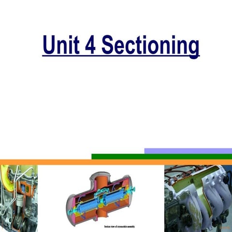 1. Unit  3 (Sectioning) tghhhhhhhhhhhhhhhhhhh