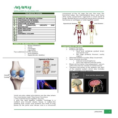NURSING TRANS NOTES 1.05 ANAPHY-SKELETAL-FINAL.pdf