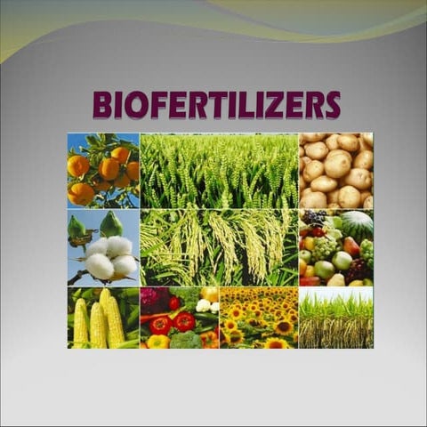 A biofertilizer  is a substance which contains living microorganisms