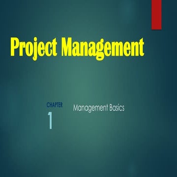 Project Management Basics presentation slides
