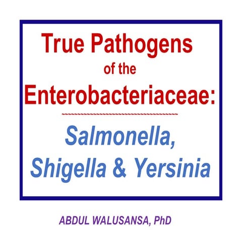 1.ppt enterobacteriaceae microbiology IUIU KC