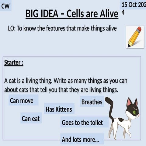 Year 7 Science Revision Pack C1.pptx