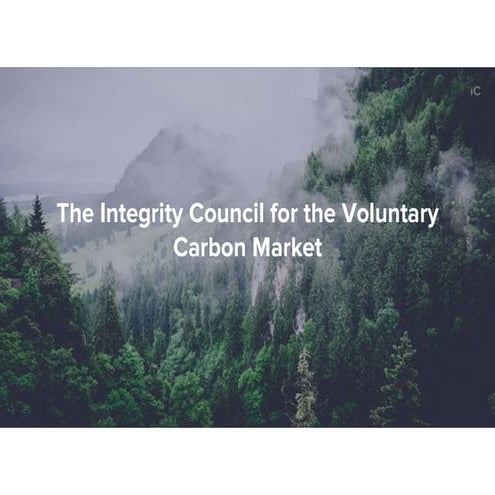 Scaling Voluntary Carbon Markets for Climate Action (1).pptx