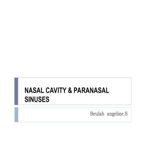 Anatomy of nose Part of ENT structure and it's well labelled