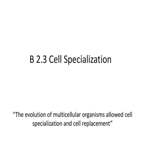 1. B 2.3 SL cell differentiation presentation.pdf