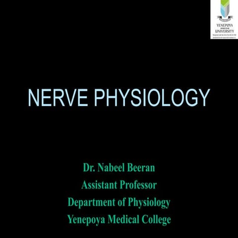 1. Neuron a Neuroglia.pptx mbbs year one