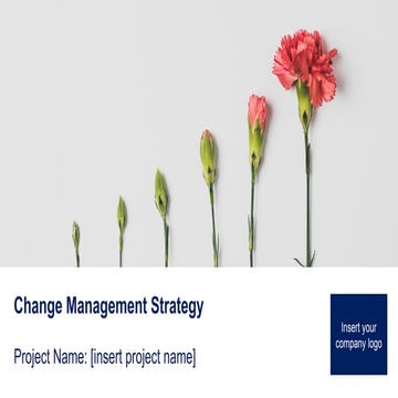 consulting_Change_Management_______Strategy.pptx