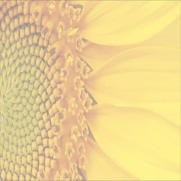 1. Ecology 2 of grade 7 EMG Educationnnn