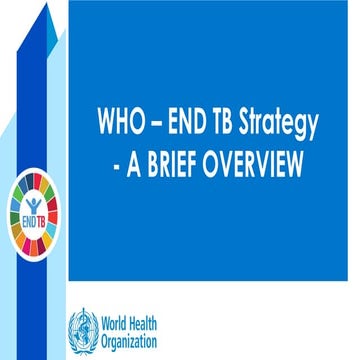 1 End Tb Strategy Pptx Latest For Overview Pptx