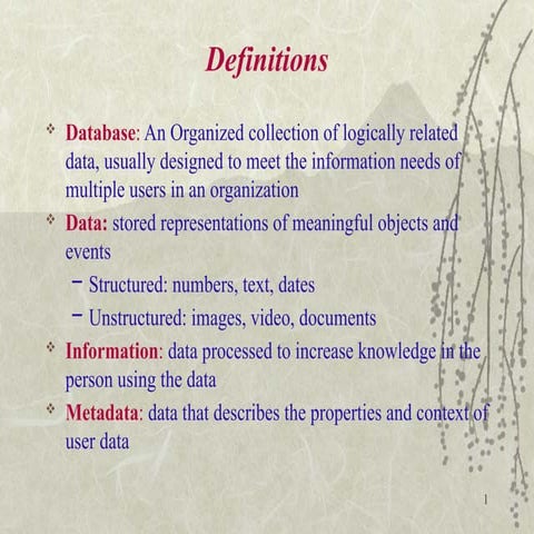 1.Intro to Database management System.pptx