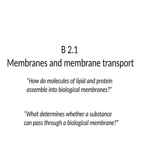 1. B 2.1 SL Membranes and transport (1).pptx