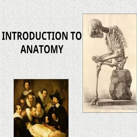 1. INTRODUCTION TO ANATOMY. POWER POINT SLIDE NWU
