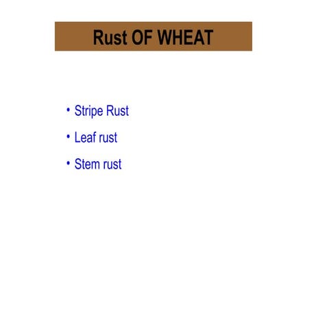 1. Rusts of Wheat.ppt elaborate about disease