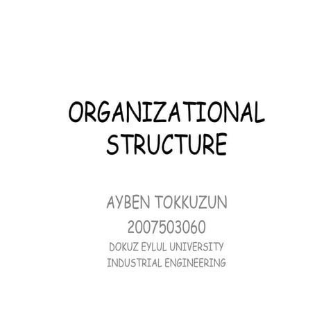 Organisational Structure in factories.ppt