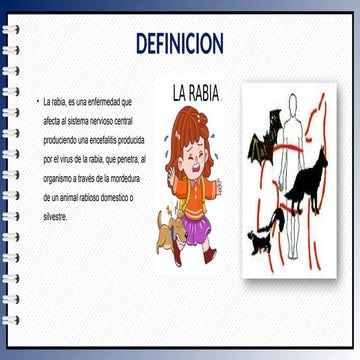 explicacion de la rabia humana RABIA_HUMANA_. | PPTX