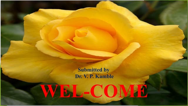 Rose Information in English-Rose Information for Project-Rose ...
