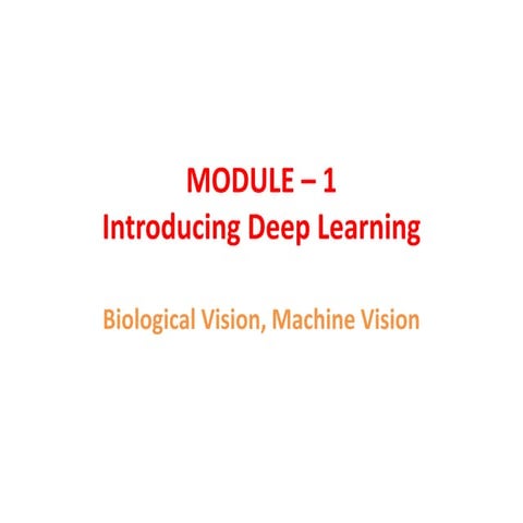 Introduction of Deep Learning and Biological and Machine Vision | PDF