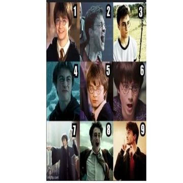 Characterization ELA 8 | PPTX