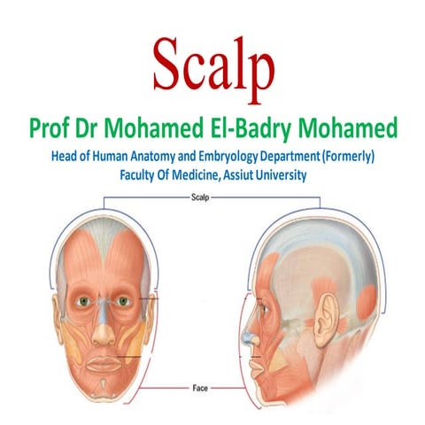 1. SCALP for cns medical students 2025..