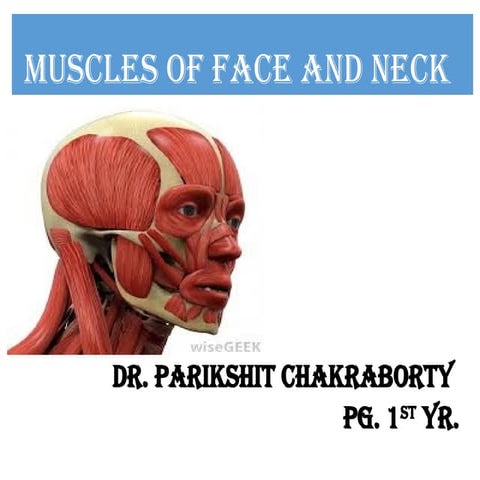 Muscles of face | PPTX