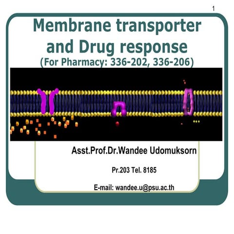 เธเธ—เธ—เธตเน1.2 Membrane-transporter receptor.pdf