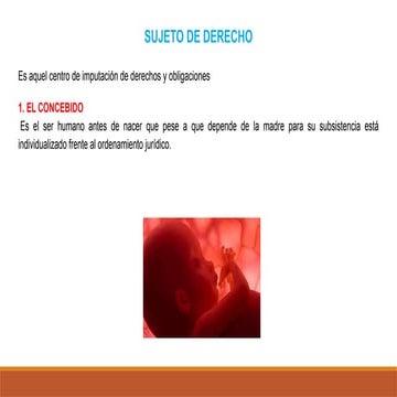 sujeto de derecho ,codigo civil peruano 2025