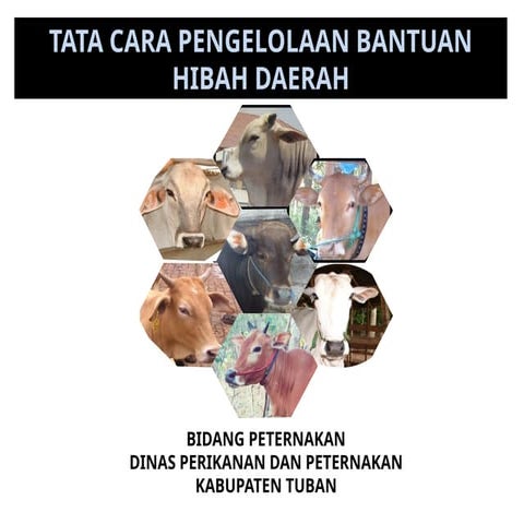 langkah langkah untuk Pengelolaan Hibah.pptx