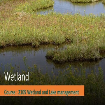 WETLANDS | PDF