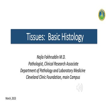 Basal Lamina / Extracellular matrix / Base membrane | PDF
