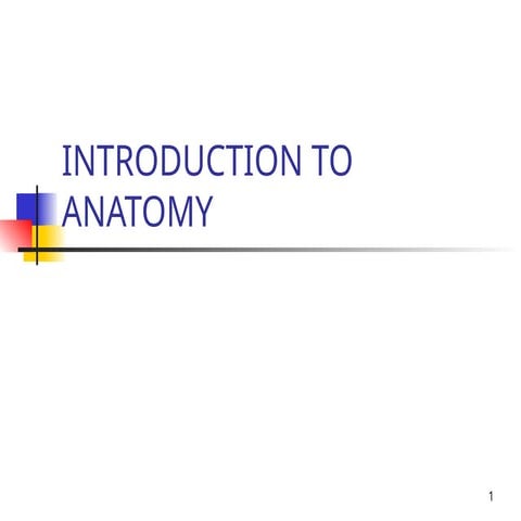 1.1 INTRODUCTION TO ANATOMY SHOWING HEAD NECk | PPT